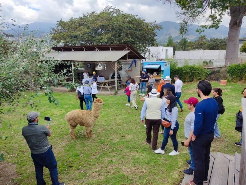 imagen-de-whatsapp-2023-11-19-a-las-17-33