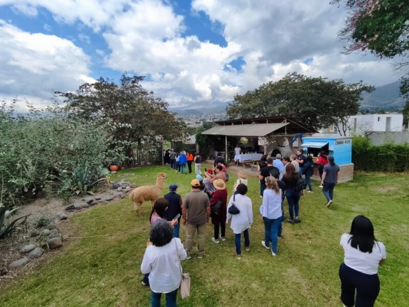 imagen-de-whatsapp-2023-11-19-a-las-17-45